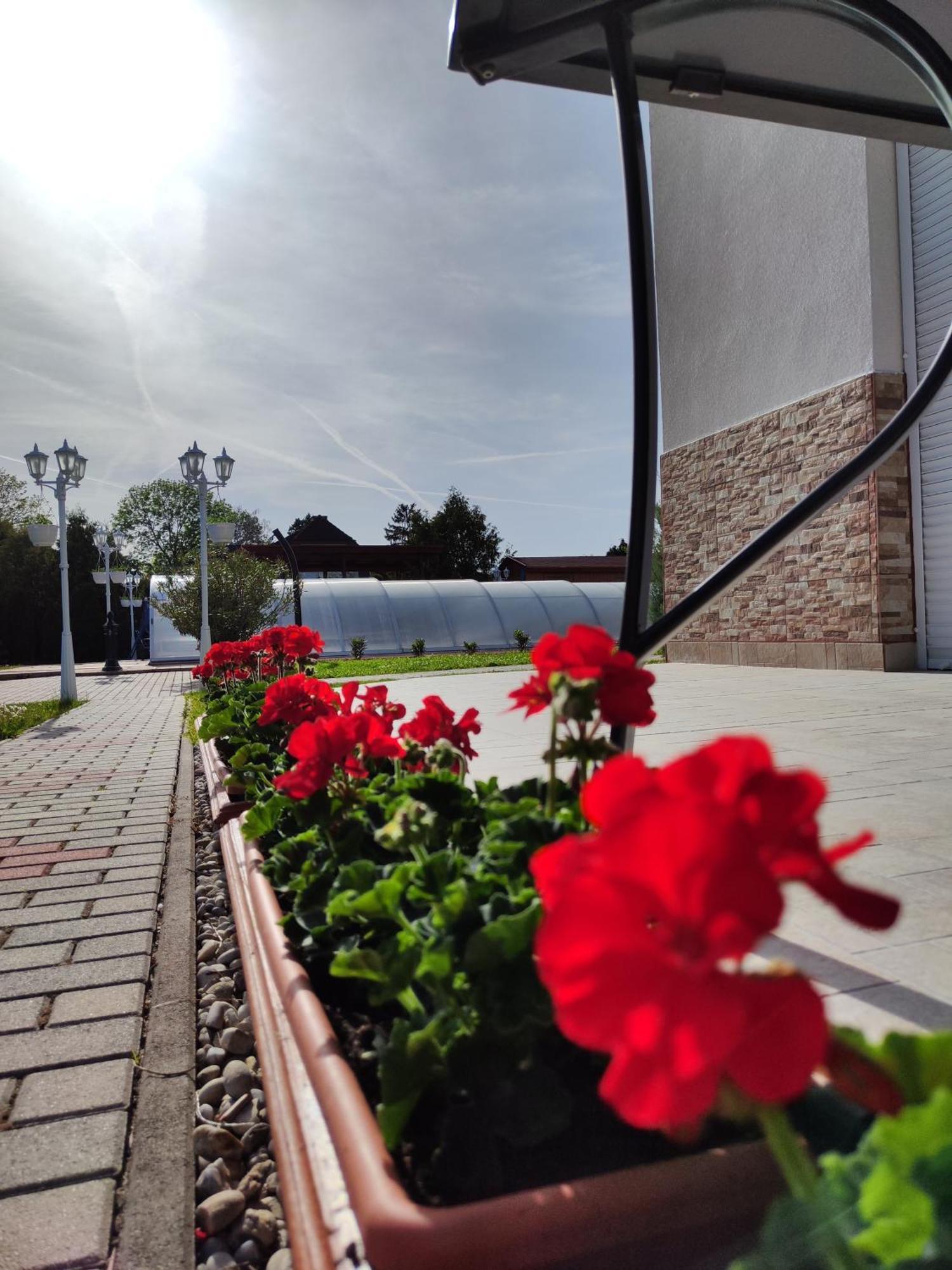 Havasi Vendeghaz Daire Gyenesdiás Dış mekan fotoğraf